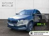 Skoda Karoq hoehr-grenzhausen
