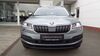 Skoda Karoq bueddenstedt
