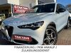 Alfa Romeo Stelvio Enzklösterle