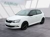 Skoda Fabia kuehbach