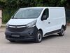 Opel Vivaro hornburg