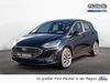 Ford Fiesta Büddenstedt