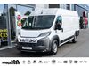 Fiat Ducato nieder-hilbersheim