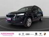Skoda Karoq walhausen