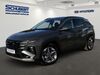 Hyundai TUCSON hornburg