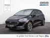 Ford Fiesta hottelstedt