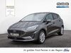 Ford Fiesta hottelstedt