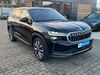 Skoda Kodiaq kreis|tuebingen