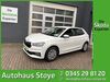 Skoda Fabia bueddenstedt