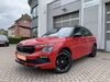 Skoda Kamiq roehrig