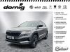 Skoda Karoq marktschorgast