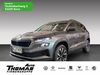 Skoda Karoq meinborn