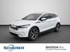 Skoda Enyaq ockenheim