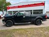 Ford F 150 harzungen