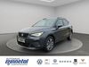 Seat Arona teichweiden