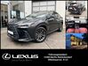 Lexus NX 450h kummersdorf-gut