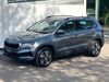 Skoda Karoq lobstaedt