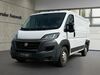 Fiat Ducato walhausen