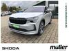 Skoda Kodiaq schoena-kolpien