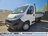 Citroen Jumper niederhosenbach