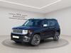Jeep Renegade walhausen