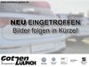 Renault Captur quenstedt