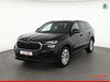 Skoda Kodiaq muldenstein