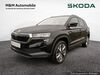 Skoda Karoq unterluess