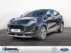Ford Puma bueddenstedt