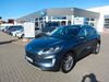 Ford Kuga bueddenstedt