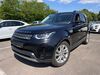 Land Rover Discovery irrhausen