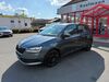Skoda Fabia schwallungen
