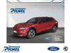Ford Mustang Mach-E kreis|suedliche-weinstrasse