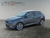 Skoda Fabia walhausen