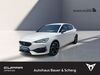 Cupra Leon geisenfeld