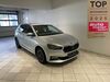 Skoda Fabia schoena-kolpien