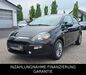 Fiat Punto Evo leutesdorf