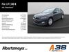 VW Polo niederorschel