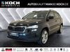 Skoda Karoq schoena-kolpien