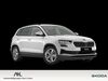 Skoda Karoq bueddenstedt