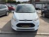 Ford B-Max schoena-kolpien