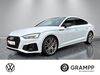 Audi S5 woelferbuett
