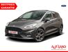 Ford Fiesta hottelstedt