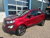 Ford EcoSport Schöfweg