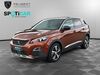 Peugeot 3008 pouch