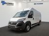 Fiat Ducato dankmarshausen