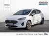Ford Fiesta hottelstedt