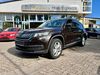 Skoda Kodiaq Schierensee