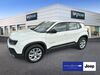 Jeep Avenger Blandikow