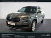 Skoda Kodiaq kuehbach